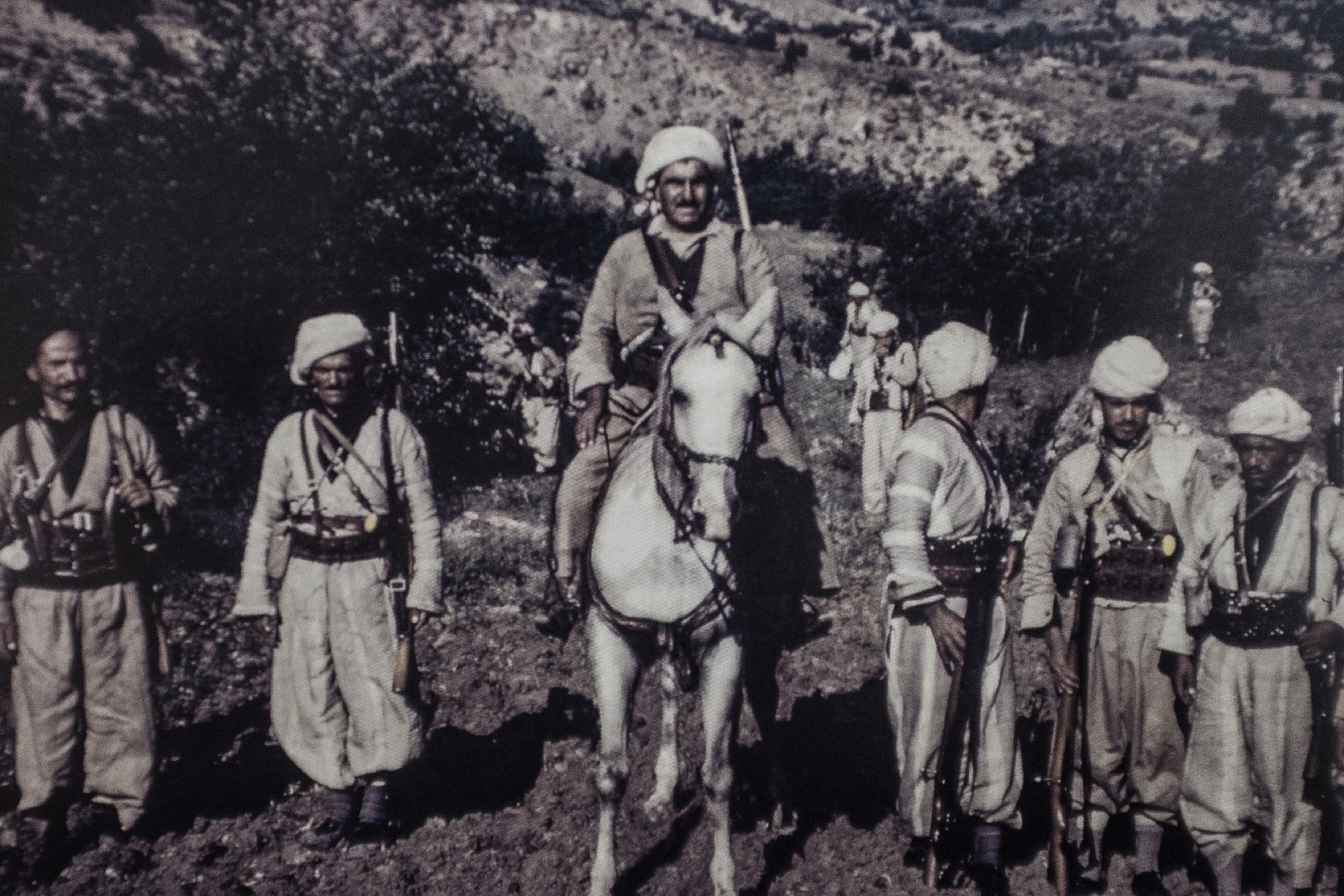 The Horses of Kurdistan recounts history through animals